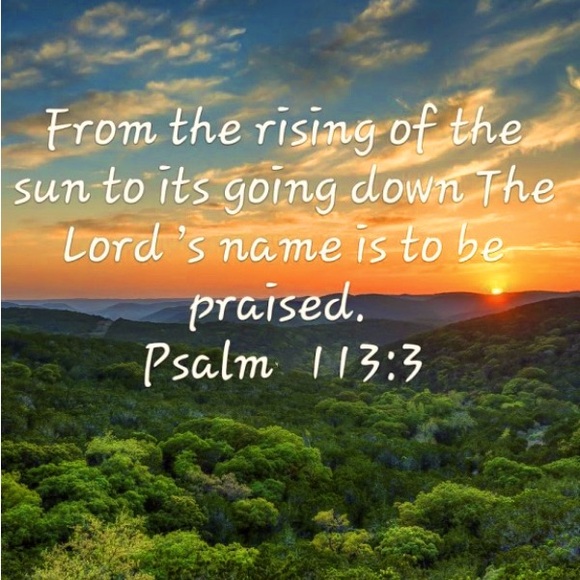 Meet your Posher, Christopher - Picture 1 of 1